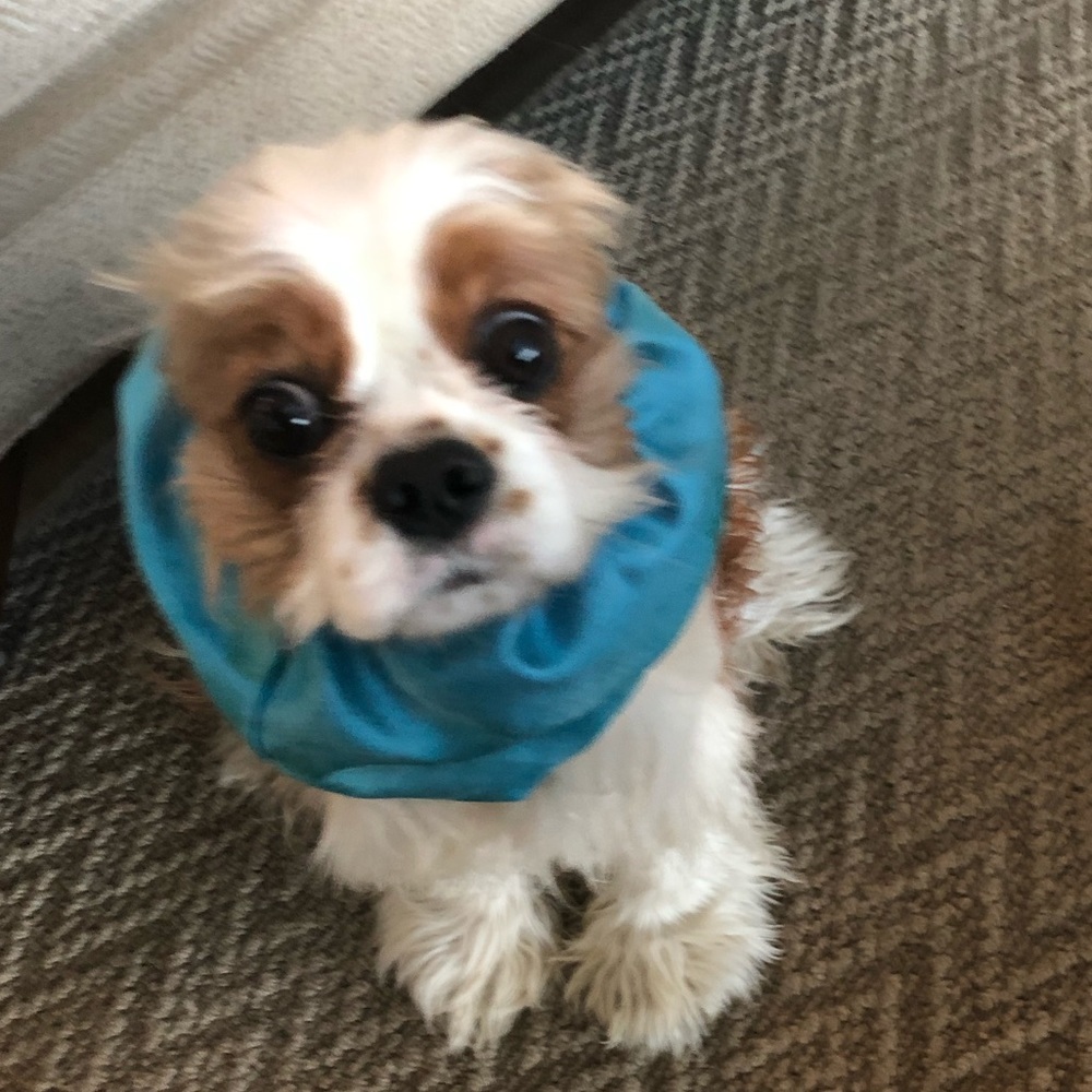 My baby Remy ๐ถ๐ท - Picture 6 of 16